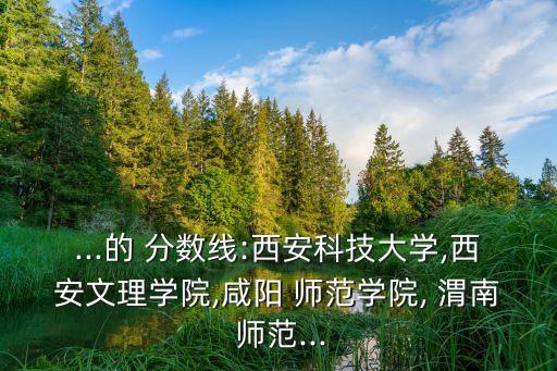 ...的 分?jǐn)?shù)線:西安科技大學(xué),西安文理學(xué)院,咸陽(yáng) 師范學(xué)院, 渭南 師范...