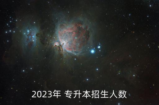 2023年 專升本招生人數(shù)