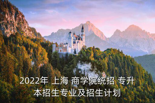 2022年 上海 商學(xué)院統(tǒng)招 專升本招生專業(yè)及招生計劃