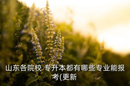 山東各院校 專升本都有哪些專業(yè)能報(bào)考(更新