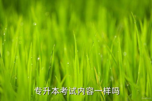 寧夏專升本基礎(chǔ)課