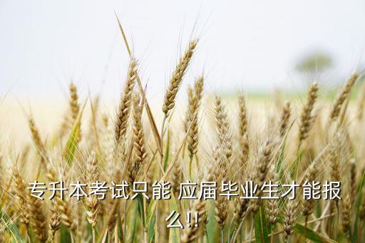  專升本考試只能 應(yīng)屆畢業(yè)生才能報(bào)么!!