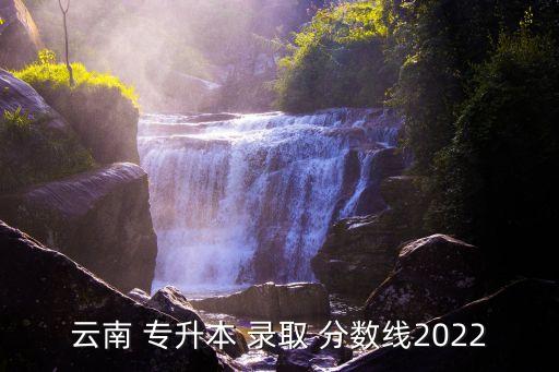 云南 專升本 錄取 分?jǐn)?shù)線2022