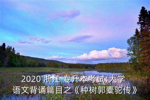 2020 浙江 專升本考試:大學 語文背誦篇目之《種樹郭橐駝傳》