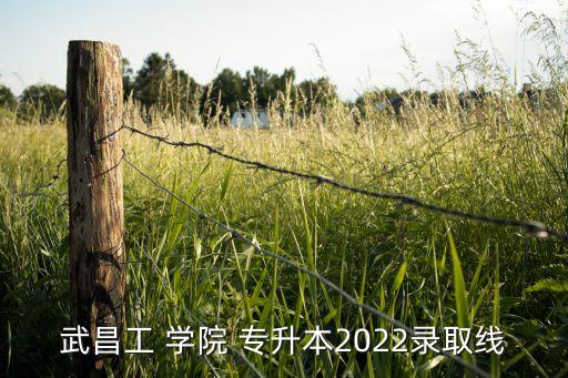 武昌工 學院 專升本2022錄取線