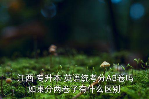 江西專升本英語(yǔ)答案,2022年江西專升本英語(yǔ)真題及答案