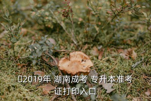 ?2019年 湖南成考 專升本準考證打印入口