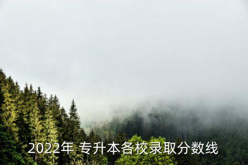 2022年 專升本各校錄取分?jǐn)?shù)線