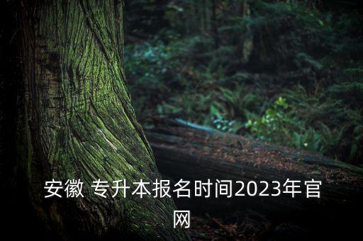  安徽 專升本報(bào)名時(shí)間2023年官網(wǎng)