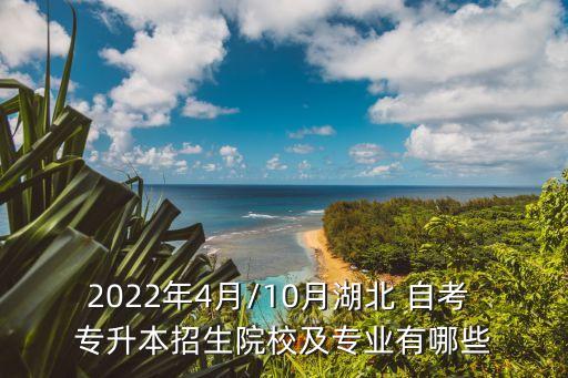 2022年4月/10月湖北 自考 專升本招生院校及專業(yè)有哪些