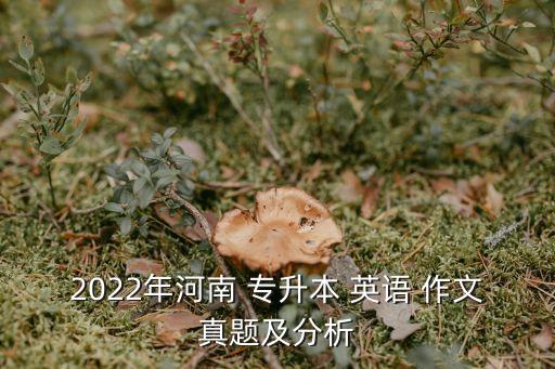 2022年河南 專(zhuān)升本 英語(yǔ) 作文真題及分析