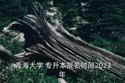  青海大學(xué) 專升本報名時間2023年