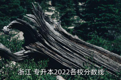  浙江 專升本2022各校分?jǐn)?shù)線