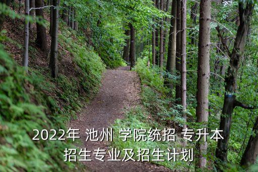 2022年 池州 學院統(tǒng)招 專升本招生專業(yè)及招生計劃