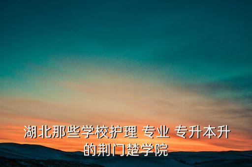  湖北那些學(xué)校護理 專業(yè) 專升本升的荊門楚學(xué)院