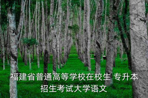  福建省普通高等學(xué)校在校生 專升本招生考試大學(xué)語文