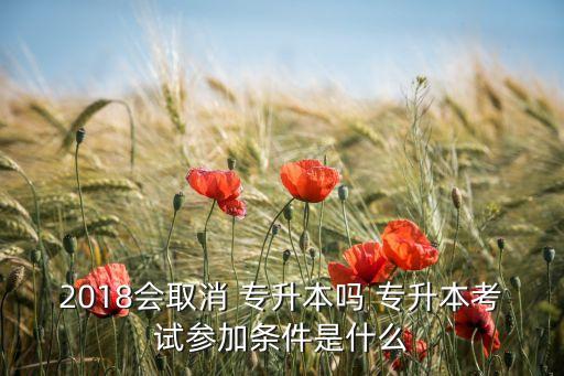 2018會(huì)取消 專(zhuān)升本嗎 專(zhuān)升本考試參加條件是什么