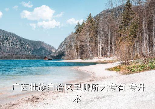  廣西壯族自治區(qū)里哪所大專有 專升本