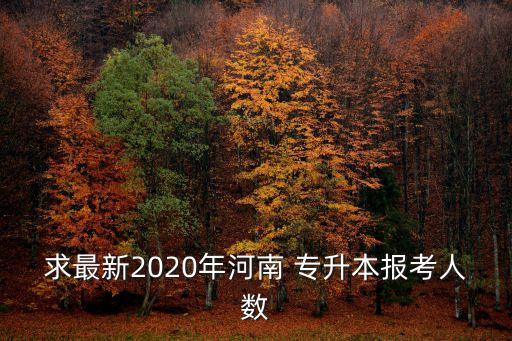 求最新2020年河南 專升本報(bào)考人數(shù)