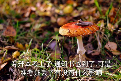  專升本考上了,通知書也到了,可是 準(zhǔn)考證丟了有沒有什么影響