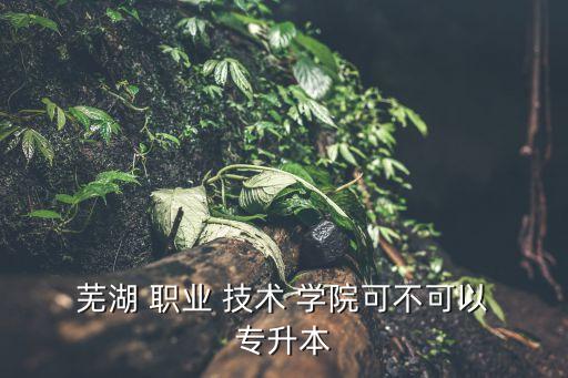  蕪湖 職業(yè) 技術(shù) 學院可不可以 專升本