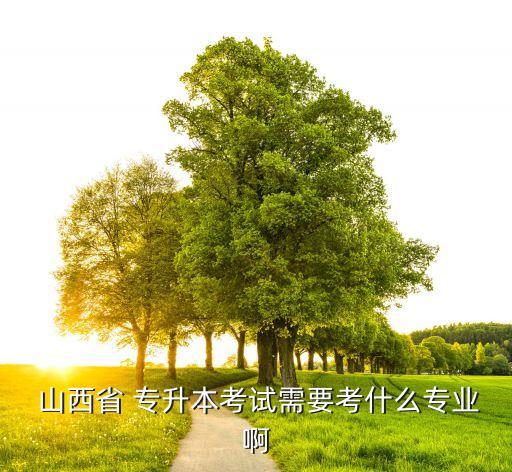 山西2015年專升本語(yǔ)文