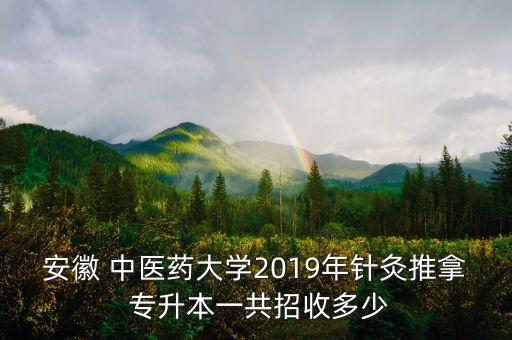 安徽 中醫(yī)藥大學2019年針灸推拿 專升本一共招收多少