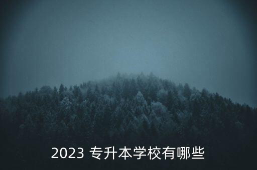 2023 專升本學(xué)校有哪些