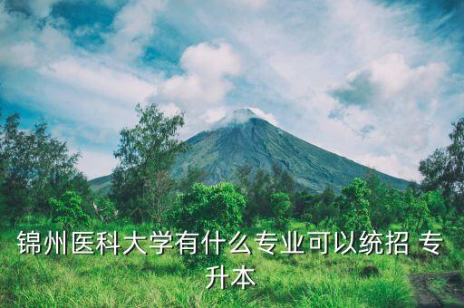 2017年遼寧省專升本試題,遼寧省2017年專升本計(jì)算機(jī)答案