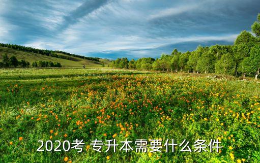 2020考 專升本需要什么條件