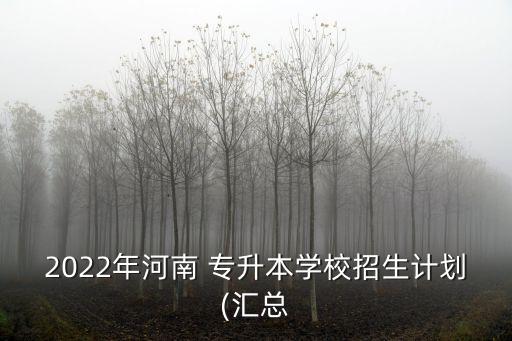 2022年河南 專升本學(xué)校招生計(jì)劃(匯總