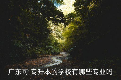 廣東可 專升本的學校有哪些專業(yè)嗎