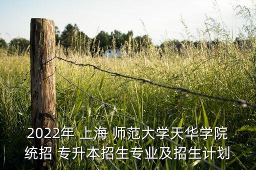 2022年 上海 師范大學天華學院統(tǒng)招 專升本招生專業(yè)及招生計劃