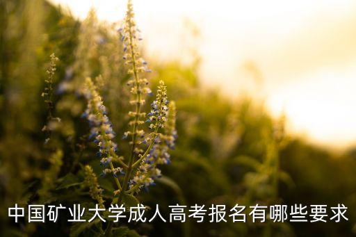 中國礦業(yè)大學(xué)成人高考報名有哪些要求