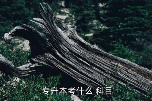  專(zhuān)升本考什么 科目