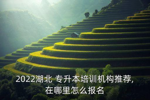 2022湖北 專升本培訓(xùn)機(jī)構(gòu)推薦,在哪里怎么報(bào)名