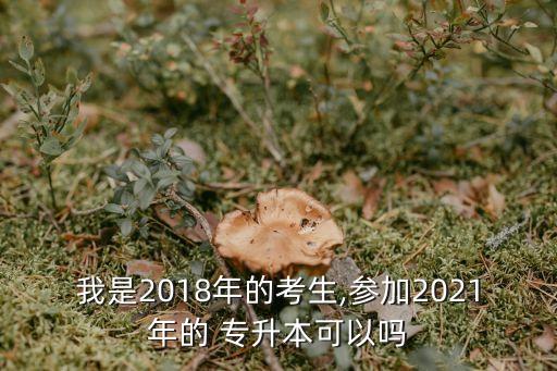 我是2018年的考生,參加2021年的 專升本可以嗎