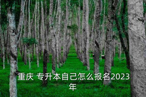  重慶 專升本自己怎么報(bào)名2023年