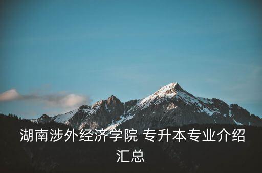  湖南涉外經(jīng)濟學(xué)院 專升本專業(yè)介紹匯總