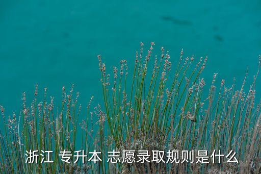  浙江 專升本 志愿錄取規(guī)則是什么