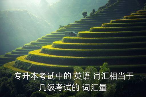  專升本考試中的 英語 詞匯相當(dāng)于幾級考試的 詞匯量