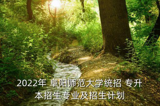 2022年 阜陽(yáng)師范大學(xué)統(tǒng)招 專升本招生專業(yè)及招生計(jì)劃