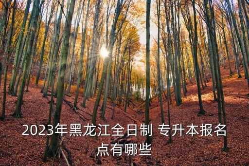 2023年黑龍江全日制 專升本報(bào)名點(diǎn)有哪些