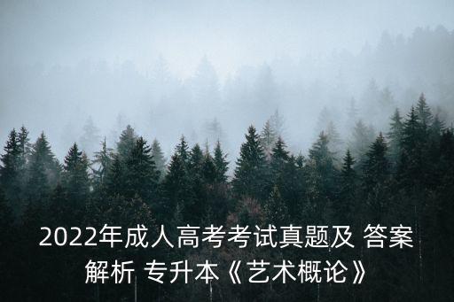 2022年成人高考考試真題及 答案解析 專升本《藝術(shù)概論》