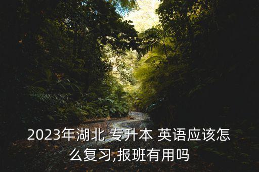 2023年湖北 專升本 英語(yǔ)應(yīng)該怎么復(fù)習(xí),報(bào)班有用嗎