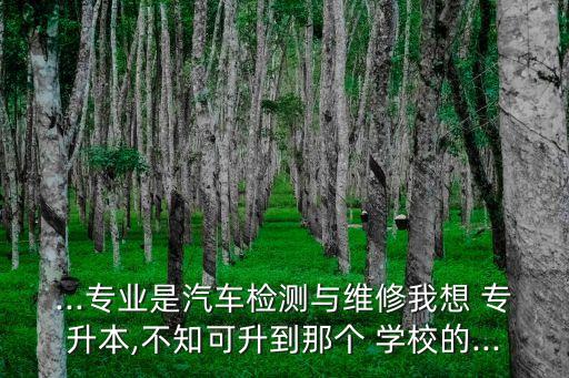 ...專業(yè)是汽車檢測(cè)與維修我想 專升本,不知可升到那個(gè) 學(xué)校的...