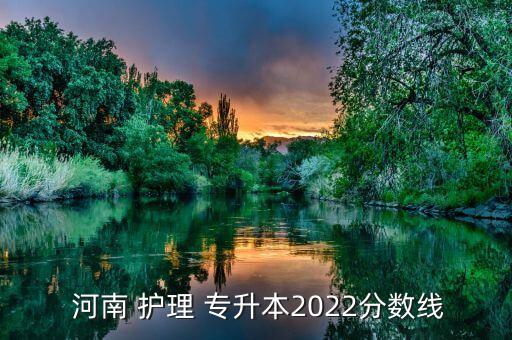  河南 護(hù)理 專升本2022分?jǐn)?shù)線