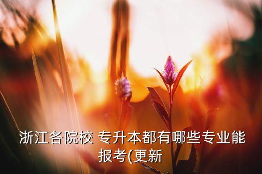  浙江各院校 專升本都有哪些專業(yè)能報(bào)考(更新