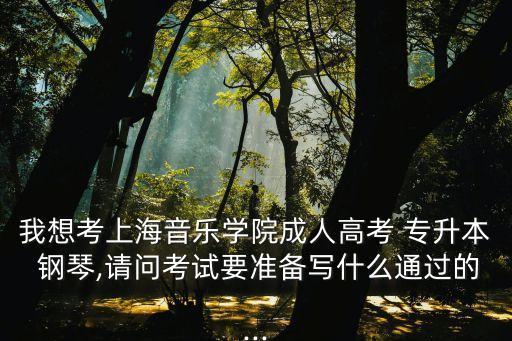 我想考上海音樂(lè)學(xué)院成人高考 專(zhuān)升本 鋼琴,請(qǐng)問(wèn)考試要準(zhǔn)備寫(xiě)什么通過(guò)的...