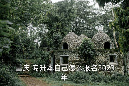  重慶 專升本自己怎么報名2023年